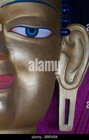 Buddha Shakyamuni il capo all'shey gompa Foto Stock