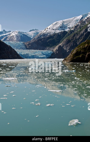 Sawyer Glacier Tracy Arm Fjord passaggio interno Alaska USA Foto Stock