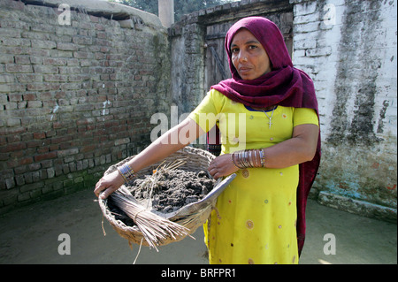 Dalit donna dal cast di gli intoccabili lavorando come scavangers, pulizia deiezioni umane. Uttar Pradesh, India Foto Stock