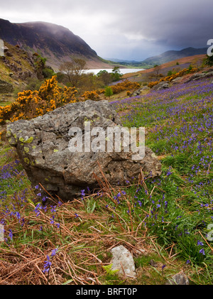 Cielo tempestoso oltre Crummock acqua, con il Bluebells a Rannerdale in primo piano Foto Stock