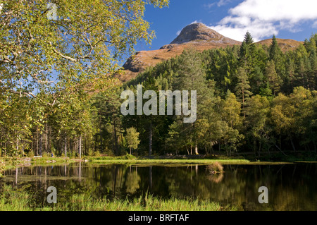 Il Glencoe Lochans e il Pap di Glencoe torreggianti sopra dal sentiero forestale. Highlands scozzesi SCO 6769 Foto Stock