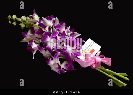 Bouquet di dendrobium orchidee con i migliori auspici su sfondo nero Foto Stock