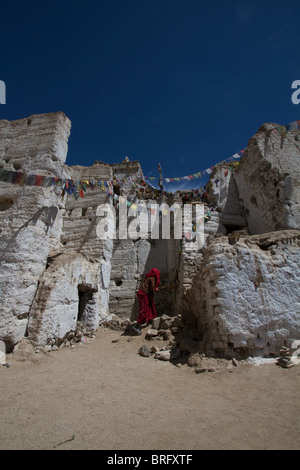 Monaco presso il Namgyal Tsemo Gompa Foto Stock