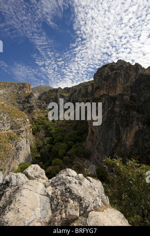 Monachil gorge area Parco Nazionale Sierra Nevada Spagna Europa Foto Stock