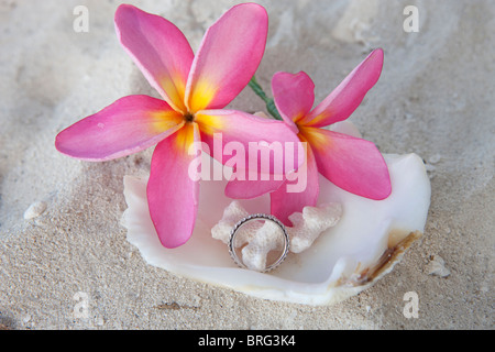 Aitutaki nelle Isole Cook Foto Stock