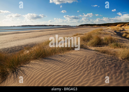 Llandywyn Bay & Isola su un luminoso chiara giornata di sole Foto Stock