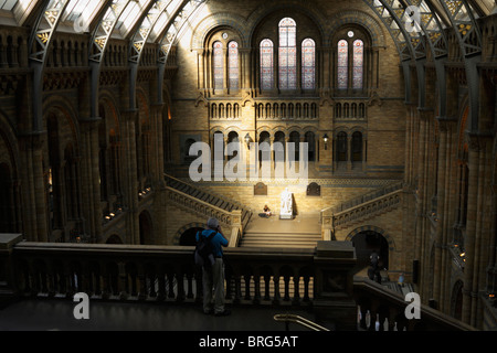 Raggio di sole cade sulla statua di Darwin nel Museo di Storia Naturale, Kensington, London, Regno Unito Foto Stock