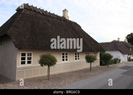 Cottage con il tetto di paglia su Langeland Foto Stock