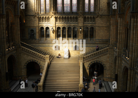 Raggio di sole cade sulla statua di Darwin nel Museo di Storia Naturale, Kensington, London, Regno Unito Foto Stock