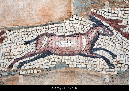 Mosaico di un antilope nella Villa di Silin, vicino a Leptis Magna, Libia Foto Stock