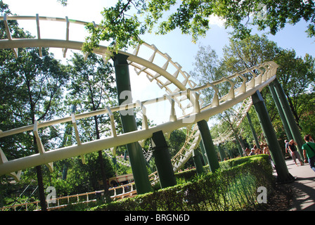 Dettaglio del roller coaster al parco tematico Efteling Kaatsheuvel Paesi Bassi Foto Stock