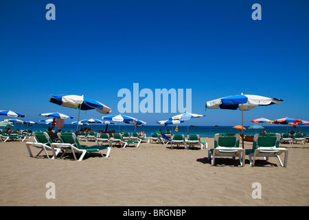 Mare di ombrelloni in spiaggia di Es Figueral, Ibiza, Spagna Foto Stock