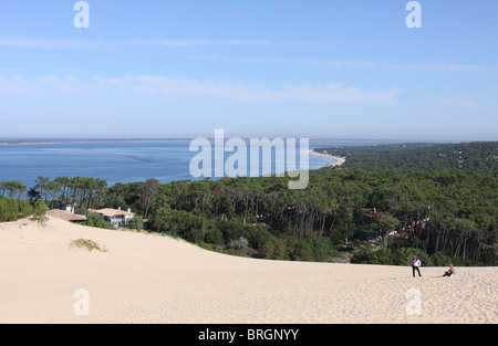 Boschi che circondano la Dune du Pilat Francia, settembre 2010 Foto Stock