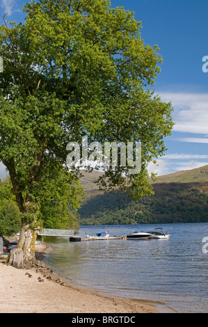 Imbarcazioni da diporto ormeggiato sul Loch Lomond e il Trossachs National Park. Strathclyde. SCO 6776 Foto Stock