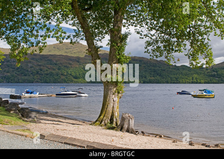 Imbarcazioni da diporto ormeggiato sul Loch Lomond e il Trossachs National Park. Strathclyde. SCO 6777 Foto Stock