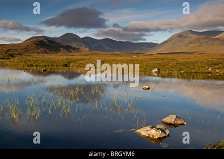 Sole di mattina attraverso il tetro paesaggio di Lochan na-Achlaise a Blackmount Rannoch Moor. Inverness-shire. Scozia 6791 SCO Foto Stock