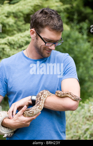 Di Dumeril Boa (Boa dumerili). Detenute da herpetologist maschio. Nativo di serpente in Madagascar Foto Stock