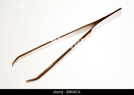 Pinzetta isolata su sfondo bianco Foto Stock
