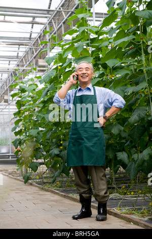 Agricoltore parlare al telefono in una moderna azienda agricola Foto Stock