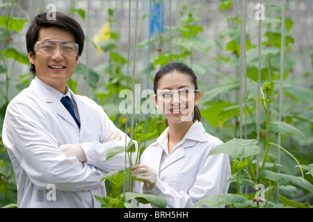 Gli scienziati stanno svolgendo attività di ricerca in una moderna azienda agricola Foto Stock