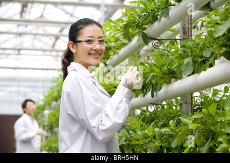 Gli scienziati stanno svolgendo attività di ricerca in una moderna azienda agricola Foto Stock