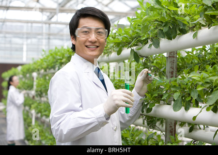 Gli scienziati stanno svolgendo attività di ricerca in una moderna azienda agricola Foto Stock