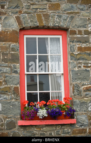 Anta vetro con fioriera sul davanzale fuori casa in località costiera di New Quay, Ceredigion, West Wales, Regno Unito Foto Stock