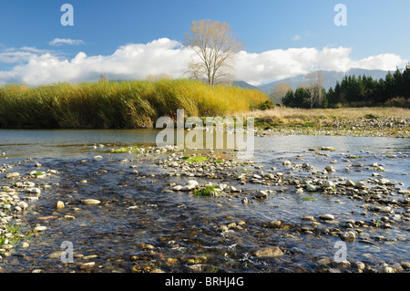 Takaka River, Paynes Ford riserva paesaggistica, Tasmania, Isola del Sud, Nuova Zelanda Foto Stock