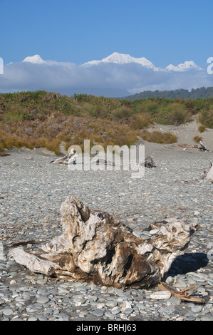 Driftwood sulla spiaggia Gillespies, Mount Tasman e Mount Cook, Westland Tai Poutini National Park, Isola del Sud, Nuova Zelanda Foto Stock