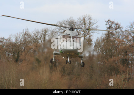 ZD250 Super Lynx 100 702 SQN Naval Air squadron NAS Foto Stock