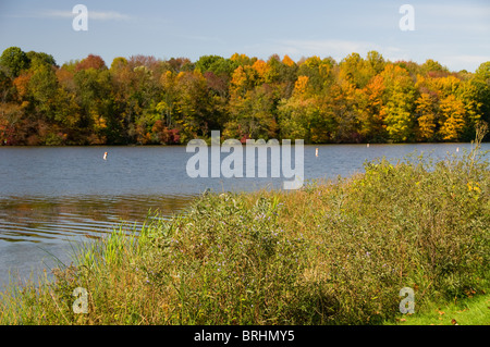 Autunno di scena a Hocking Hills park in Ohio Foto Stock