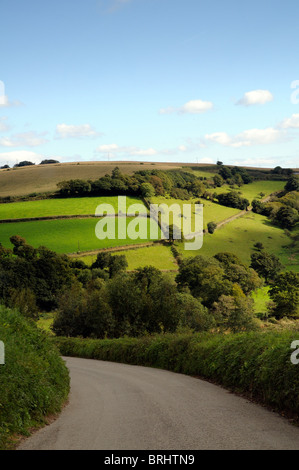 Le colline di Devonshire campagna Devon England Regno Unito Foto Stock