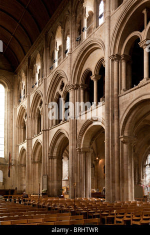 Il knave a Romsey abbey, chiesa parrocchiale di Santa Maria e San Ethelflaeda Foto Stock