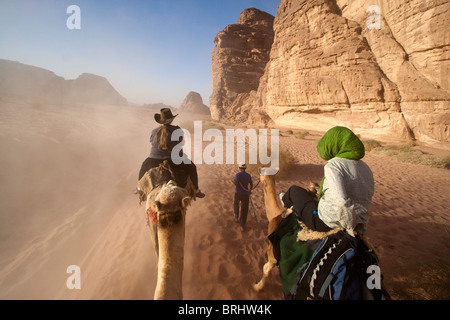 Camel viaggio nel Wadi Rum, Giordania. Foto Stock