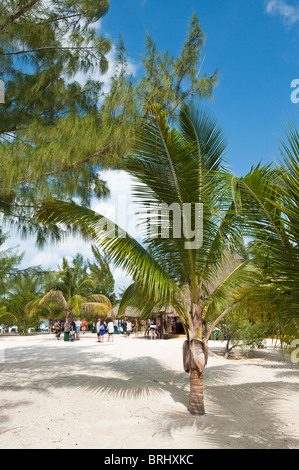 Messico, Cozumel. Isla Pasion (Passione Isola) off Isla de Cozumel (Isola di Cozumel). Foto Stock