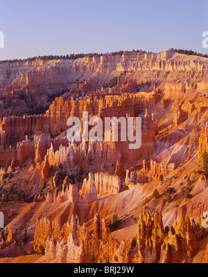 Alba illumina la formazioni in Bryce anfiteatro, vista sud dal punto di Sunrise, Parco Nazionale di Bryce Canyon, Utah, Stati Uniti d'America Foto Stock