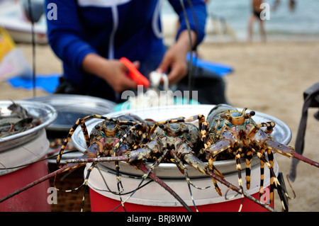 Le aragoste in attesa di essere servito presso la spiaggia di Nha Trang in Vietnam Foto Stock