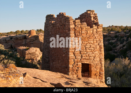 Twin Towers, torre quadrata, unità di poco la rovina Canyon, Hovenweep National Monument a est di Blanding, Utah. Foto Stock