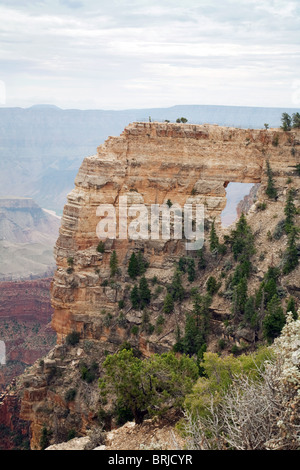 Finestra di angeli, Cape Royal, Grand Canyon North Rim, Arizona, Stati Uniti d'America Foto Stock