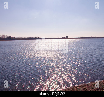 A Llanishen serbatoio prima di drenaggio controverso ha avuto luogo. Foto Stock