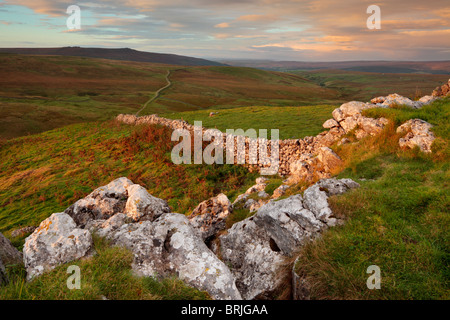 Vista la mattina di Simon del posto di guida e Wharfedale come visto dalla cima di vivaio nodo vicino a moncone's Cross Caverns in Yorkshire Dales Foto Stock