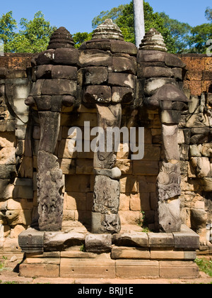 L'immagine di tre testa elefante cambogiano Foto Stock