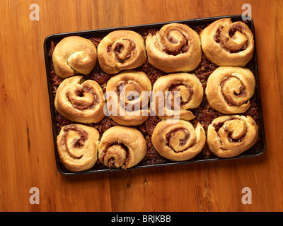 Vassoio del pane appena sfornato panini alla cannella Foto Stock