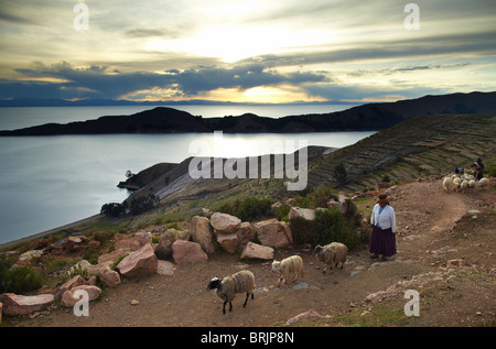 Una donna con pecora, Isla del Sol, il lago Titicaca, Bolivia Foto Stock