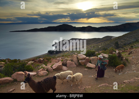 Una donna con pecora & llama, Isla del Sol, il lago Titicaca, Bolivia Foto Stock
