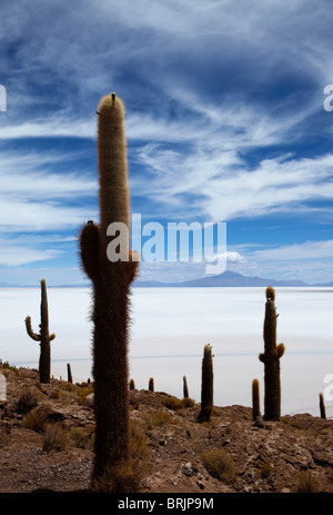 Il Salar de Uyuni, Bolivia Foto Stock