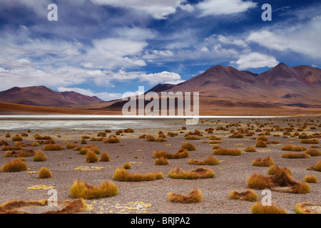 La remota regione del high desert, altiplano e vulcani vicino Tapaquilcha, Bolivia Foto Stock