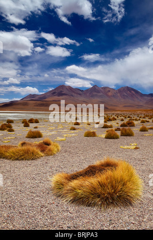 La remota regione del high desert, altiplano e vulcani vicino Tapaquilcha, Bolivia Foto Stock