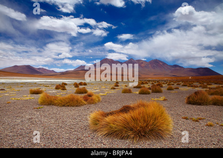 La remota regione del high desert, altiplano e vulcani vicino Tapaquilcha, Bolivia Foto Stock