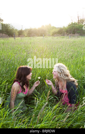 Ragazze sit e soffiare sui denti di leoni in un campo erboso in Sandpoint, Idaho. Foto Stock